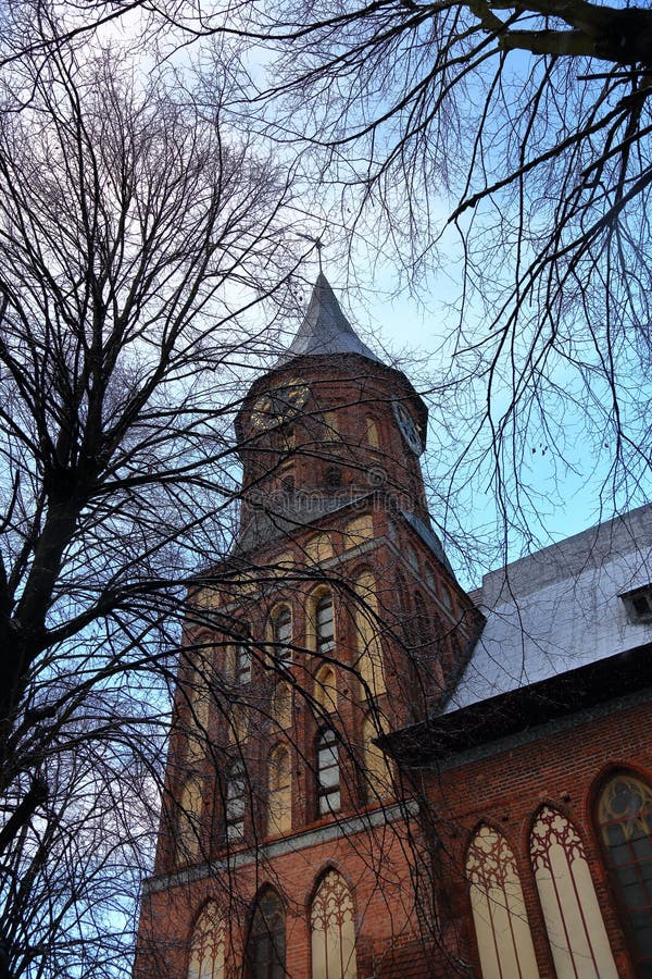 Cathédrale à Kaliningrad, Russie photographie stock libre de droits Cathédrale à Kaliningrad, Russie photographie stock libre de droits