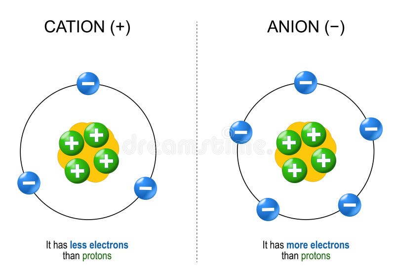 Cations and Anions. Structure of Ions Stock Vector Illustration of