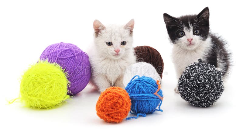 Сats and colorful balls. royalty free stock photography