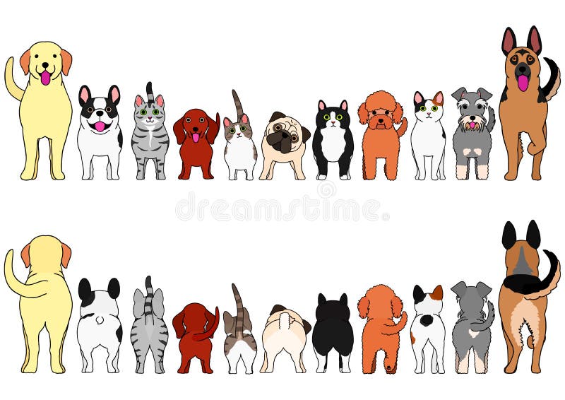 Cats and dogs border set stock vector. Illustration of length 141344838
