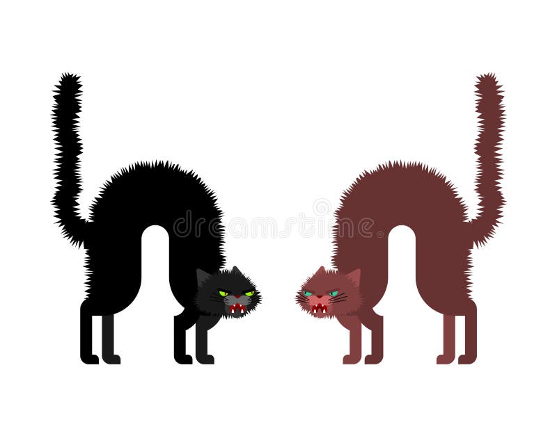 Cats fight. Angry cat. Attacker pet. Home Animal bully vector.  stock illustration