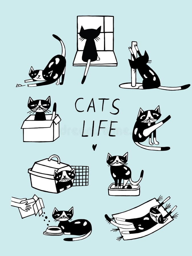 Cats life comic doodle illustration. Hand drawn kitten in various postures.