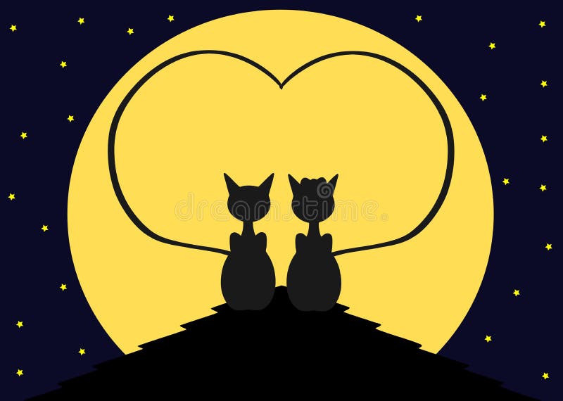 Couple of Cats in love on the roof, love, moon, colors