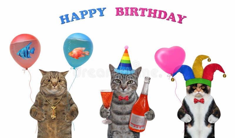 Cats three celebrating birthday 2