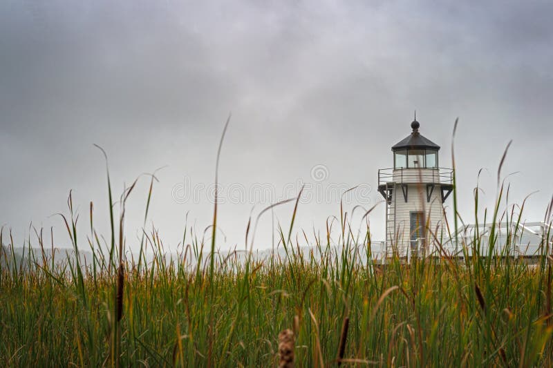 Cattails et phare de point de doublement photographie stock