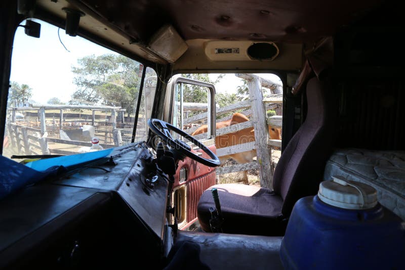 Cattle Transport in Rural Australia with a Semi Truck Stock Photo Image of agriculture