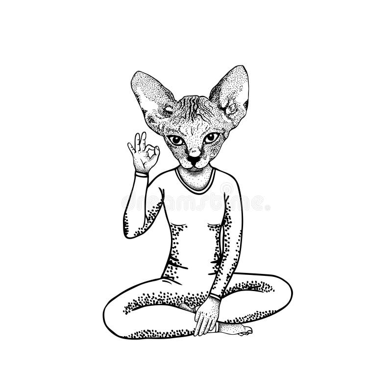 Catwoman showing symbol okay in pose lotus, hand drawn . Yoga illustration