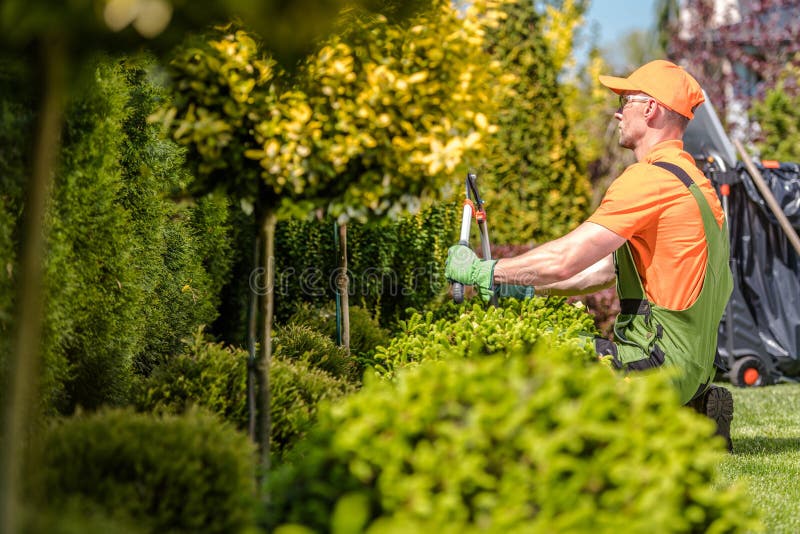 Plants Trimming Works stock photo. Image of trimmer, care 56288474