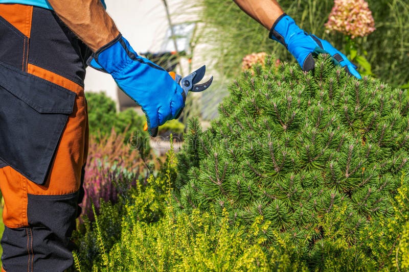 Caucasian Worker Performing Garden Maintenance royalty free stock photography
