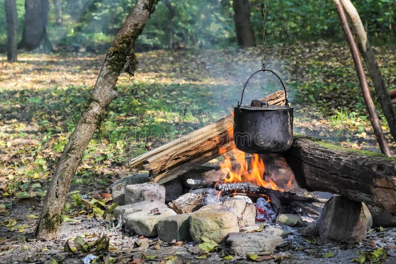 Cauldron on fire in forest stock photo. Image of food 111766306