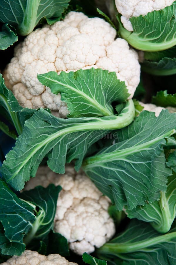 Cauliflower