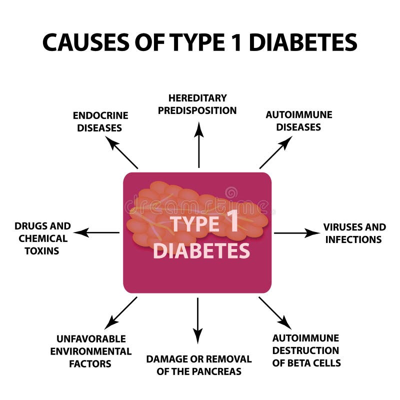 Image result for What Triggers Type 1 Diabetes? infographics