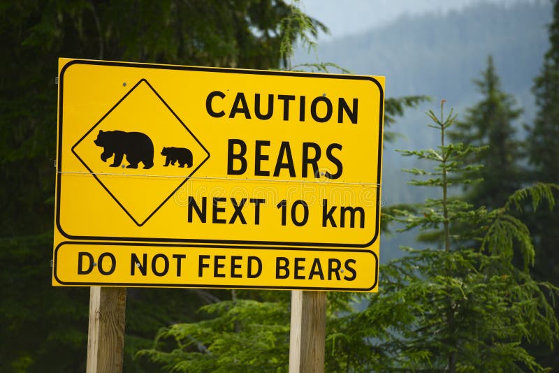 Caution Bears Sign royalty free stock photography