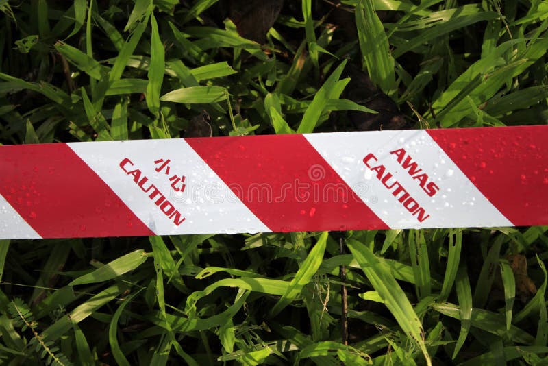 Caution tape on grass stock image. Image of enter, barricade 35191067