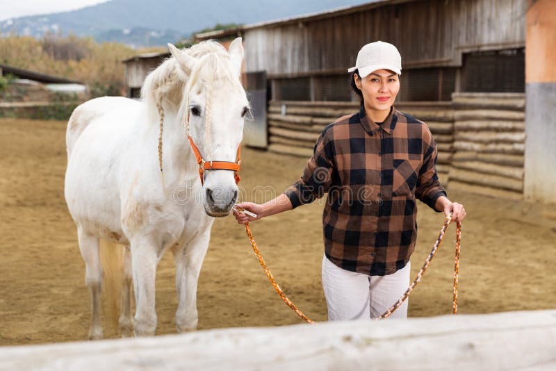 Mulher Cavaleira Cavalgando a Cavalo Marrom E Pulando a Cerca Na Arena De  Sandy Parkour Aperfeiçoamento Profissional Competitivo Imagem de Stock -  Imagem de fêmea, marrom: 165294797