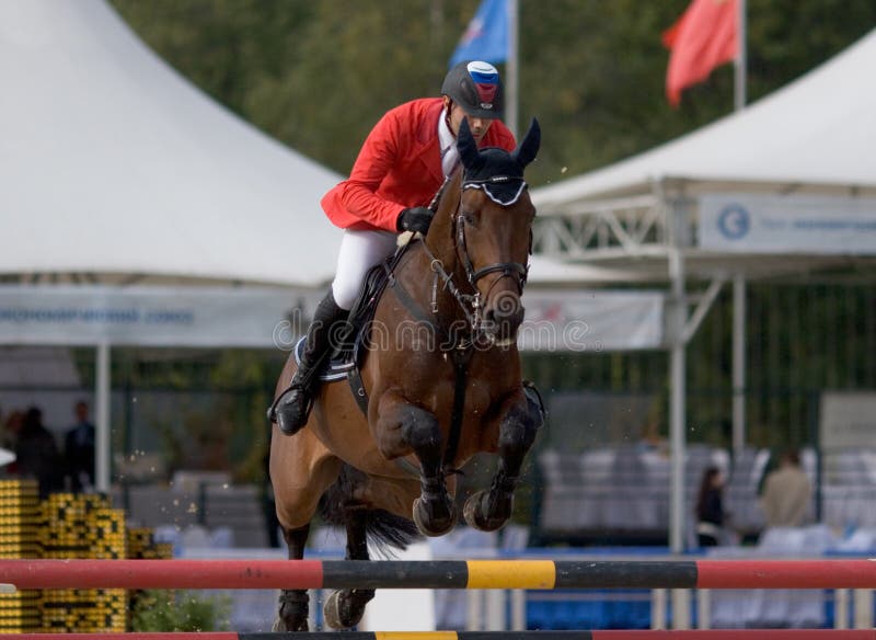 Cavaleiro No Cavalo Da Baía No Salto Esportivo No Congresso