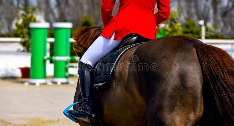 cavalo pulando, pulando, equestre, cavalo, concorrência, equitação