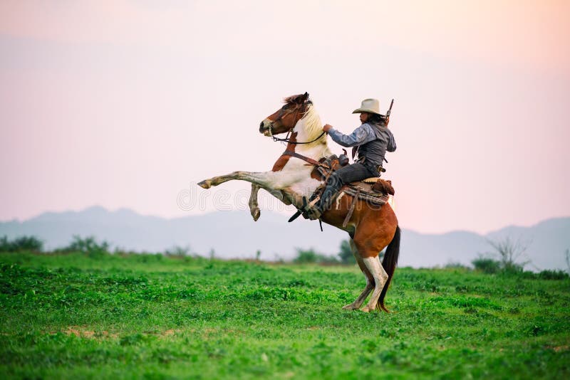 Orelhas Do Cavalo Na Frente De Uma Montanha Em Uma Tarde Do Por Do Sol  Imagem de Stock - Imagem de montanhas, elegante: 117089471