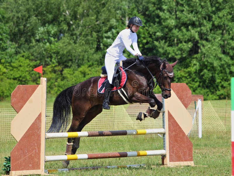 Cavaleiro No Cavalo Da Baía No Salto Esportivo No Congresso