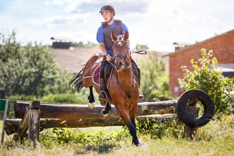 Foto de Cavalo Pulando Obstáculos Durante O Treinamento De Escola