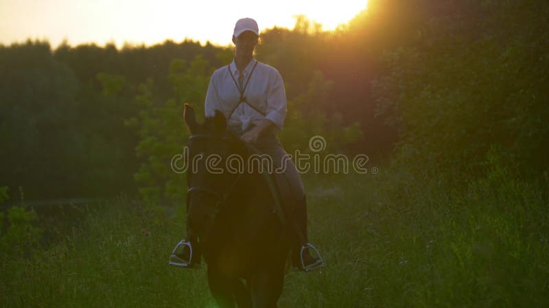 Cavalier de jeune fille avec une casquette de baseball blanche montant un cheval brun photos stock Cavalier de jeune fille avec une casquette de baseball blanche montant un cheval brun photos stock
