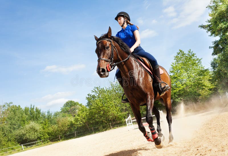 Cavaliere femminile su bello galoppo di funzionamento del cavallo fotografia stock libera da diritti Cavaliere femminile su bello galoppo di funzionamento del cavallo fotografia stock libera da diritti