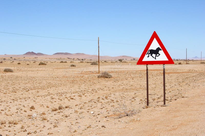 Cavalli selvaggii che avvertono il segnale stradale, Namibia fotografia stock Cavalli selvaggii che avvertono il segnale stradale, Namibia fotografia stock