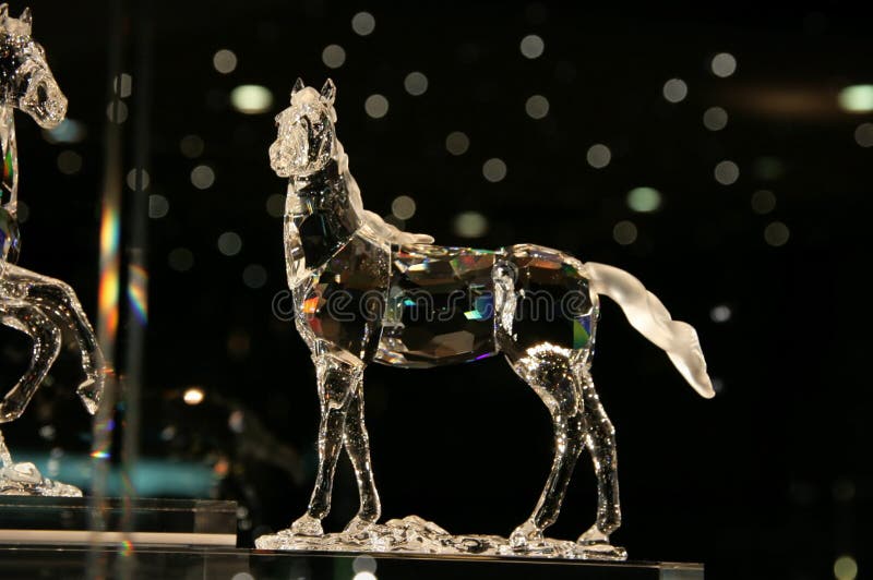 Cavallo immagine stock Cavallo immagine stock