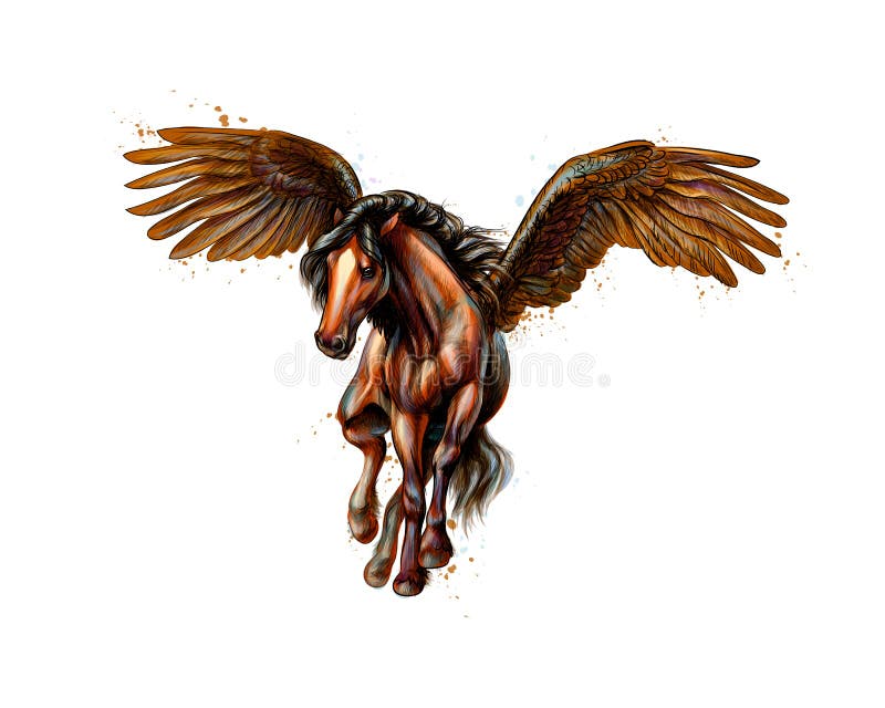 Pegasus Cavallo Alato Illustrazione Di Stock