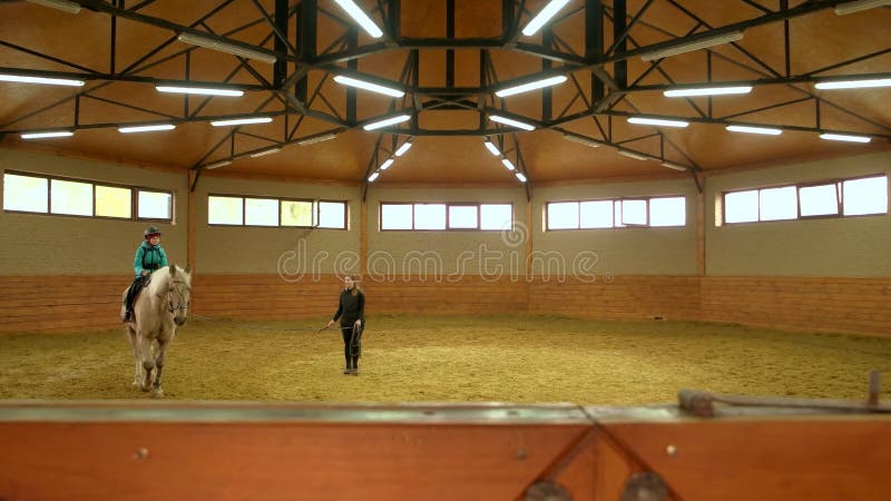 Cavallo da equitazione della ragazza all'interno