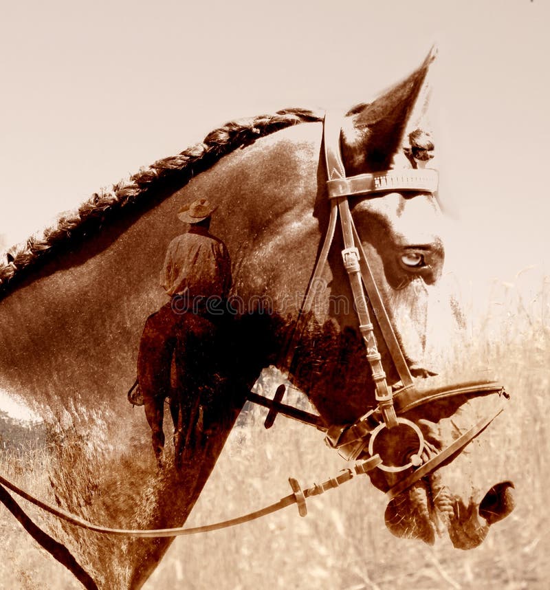 Cavallo e cavaliere astratti del cowboy. fotografia stock