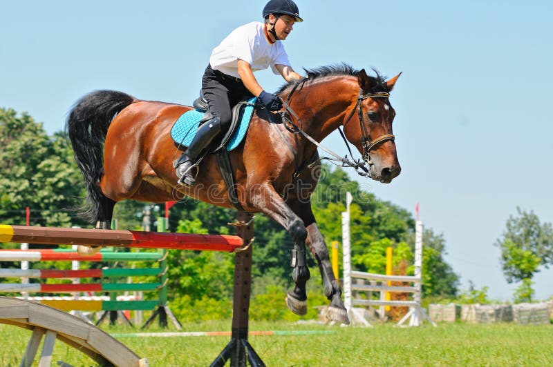 Cavallo e cavaliere di baia sopra un salto fotografia stock libera da diritti Cavallo e cavaliere di baia sopra un salto fotografia stock libera da diritti