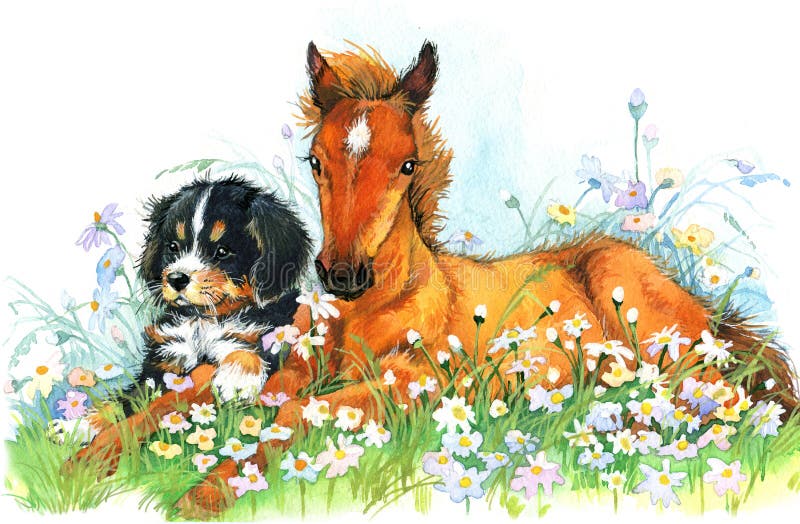 Cavallo ed e cucciolo Fondo con il fiore Illustrazione illustrazione di stock Cavallo ed e cucciolo Fondo con il fiore Illustrazione illustrazione di stock