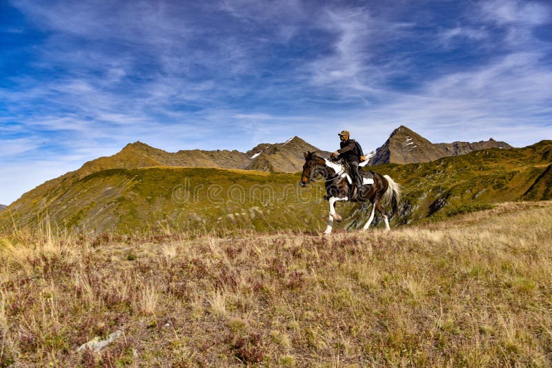 Cavallo nella montagna vicino a Soci fotografie stock Cavallo nella montagna vicino a Soci fotografie stock