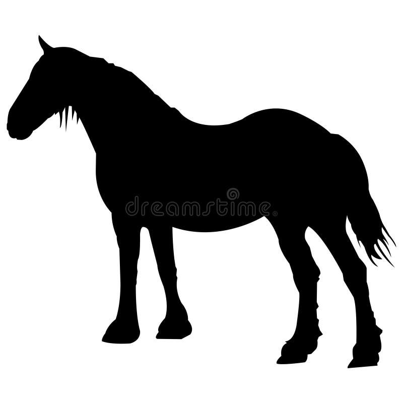 Cavallo nero illustrazione vettoriale. Illustrazione di cavaliere 730087