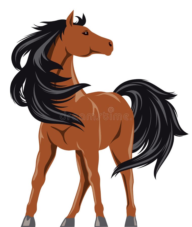 Vetores e ilustrações de Cavalo frente para download gratuito