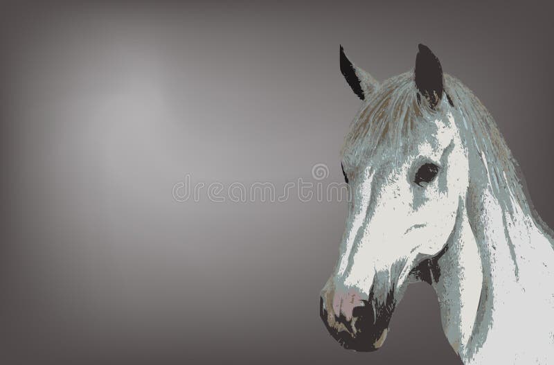 Cavalo branco ilustração stock Cavalo branco ilustração stock