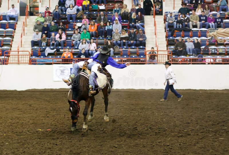 Cavalo Bucking foto de stock Cavalo Bucking foto de stock