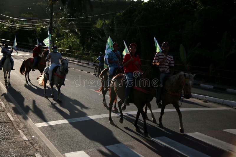 Cavalo cavalgando na bahia imagem editorial. Imagem de freio