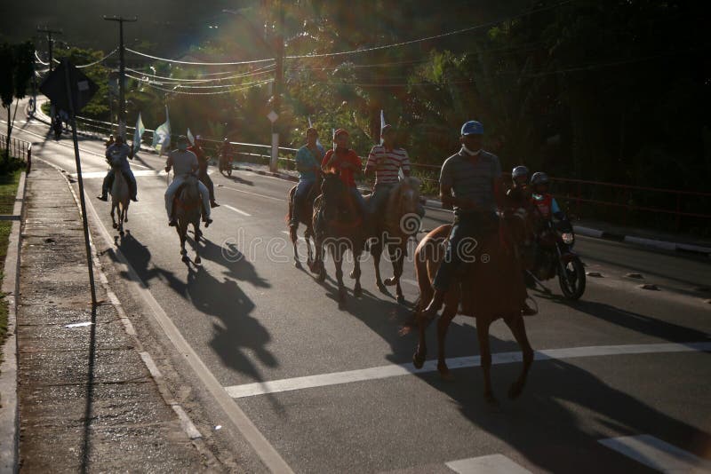 Cavalo cavalgando na bahia imagem editorial. Imagem de freio - 204124325