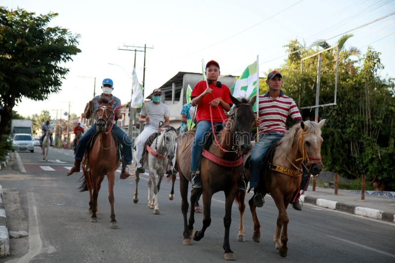 Cavalo cavalgando na bahia imagem editorial. Imagem de freio - 204124325