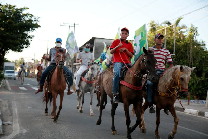 Cavalo cavalgando na bahia imagem editorial. Imagem de freio