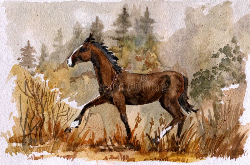 Retrato de cavalo isolado ilustração ai generativexa