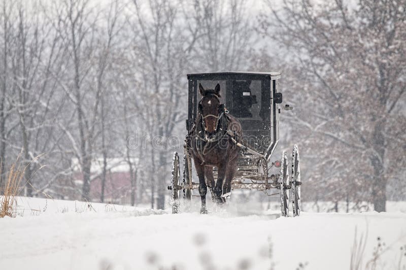 Carroça e cavalo Amish, neve, tempestade imagens de stock