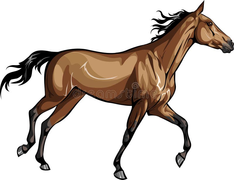 Jogo do cavalo ilustração stock. Ilustração de livre - 62507280