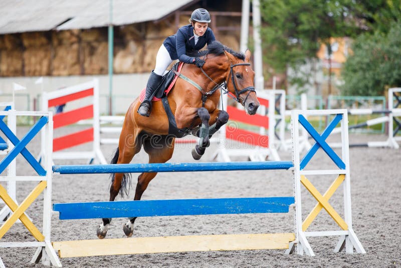 a cavalo saltos sobre a obstáculo. a cavalo cavalgando. pulando