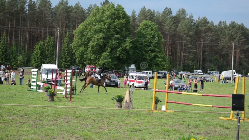 630+ Corrida De Obstáculos Corrida De Cavalos vídeos e Clipes de