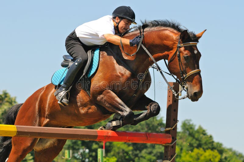 Kokpar - jogo do cavalo. foto editorial. Imagem de salto - 36471716