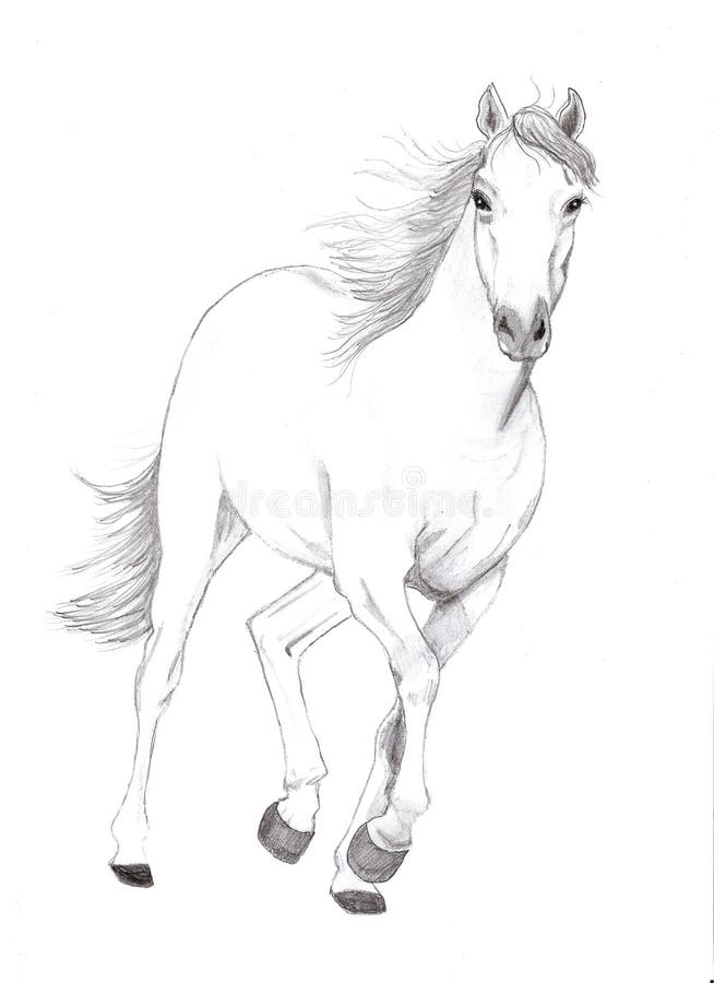 A hand drawn white horse running. A hand drawn white horse running