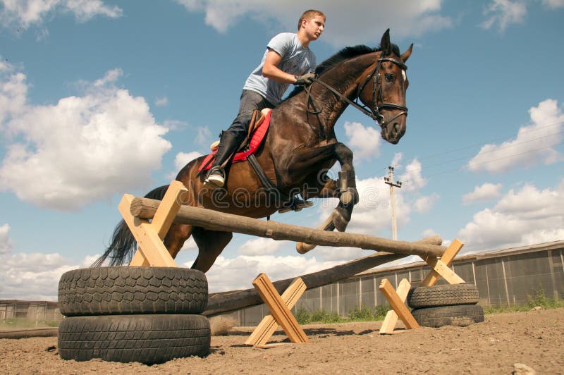 Jovem Homem Pulando Cavalo Em Seu Curso Saltando Foto de Stock